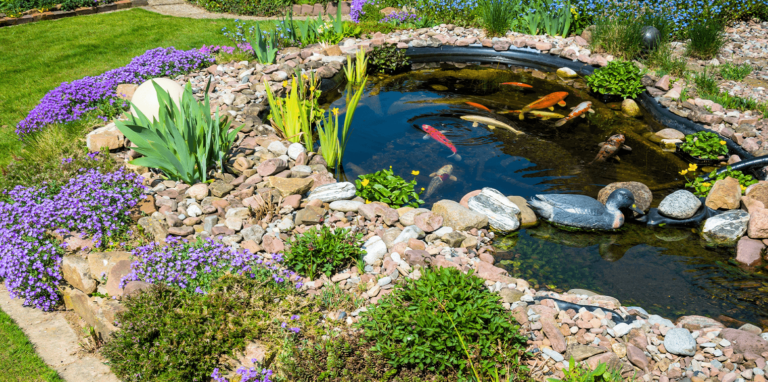 Living-Color-Garden-Center-Water-features-for-a-peaceful-backyard-koi-pond-in-backyard