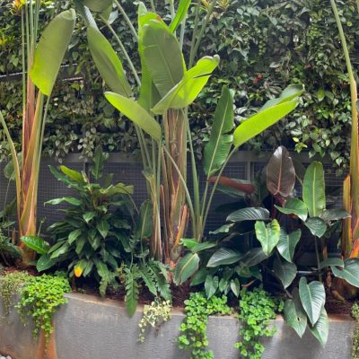 WhatsApp Image 2025-08-13 at 11.46.05 AM (1)