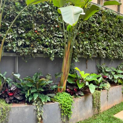 WhatsApp Image 2025-08-13 at 11.46.05 AM (2)