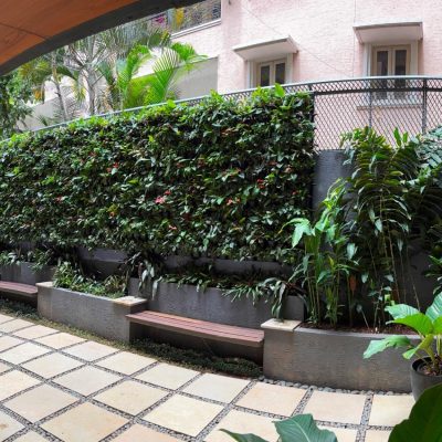 WhatsApp Image 2025-08-13 at 11.46.06 AM