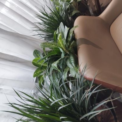 WhatsApp Image 2025-08-13 at 11.49.38 AM (1)