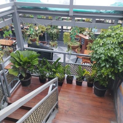 WhatsApp Image 2025-08-13 at 11.49.38 AM (2)