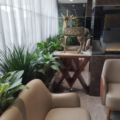 WhatsApp Image 2025-08-13 at 11.49.38 AM