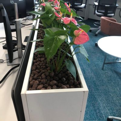 WhatsApp Image 2025-08-13 at 11.50.35 AM (1)