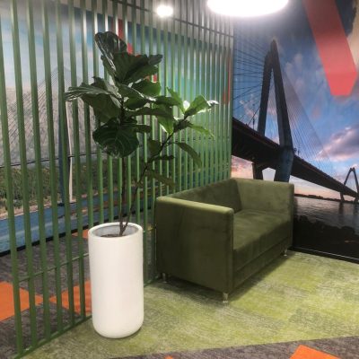 WhatsApp Image 2025-08-13 at 11.50.36 AM