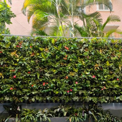 WhatsApp Image 2025-08-13 at 11.51.20 AM