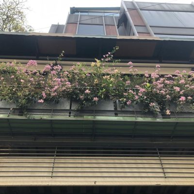 WhatsApp Image 2025-08-13 at 11.51.21 AM (1)