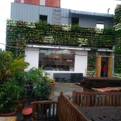 WhatsApp Image 2025-08-13 at 11.51.21 AM (2)