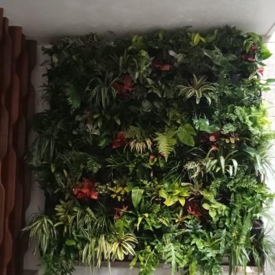 WhatsApp Image 2025-08-13 at 11.51.21 AM