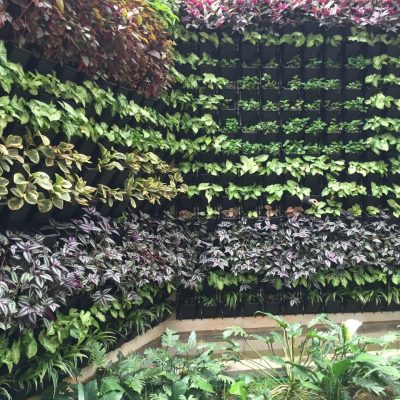 WhatsApp Image 2025-08-13 at 11.51.22 AM (1)