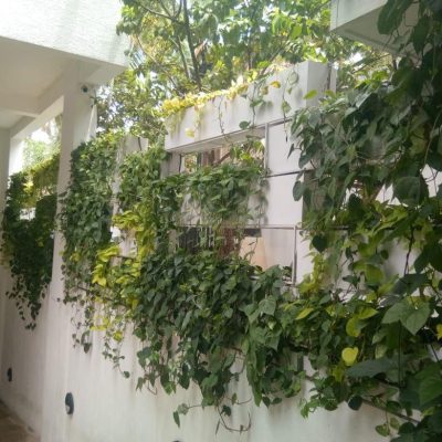 WhatsApp Image 2025-08-13 at 11.51.22 AM